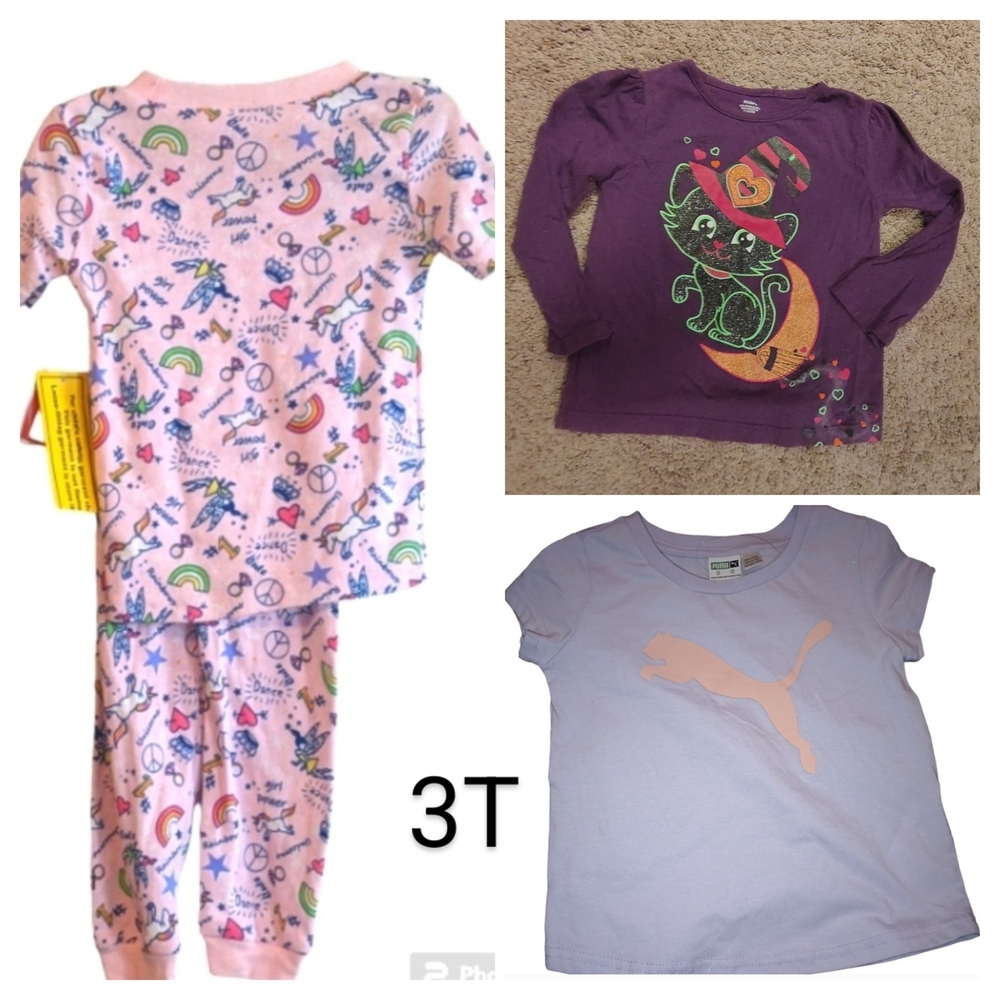 Girls Clothing Bundle (3T)